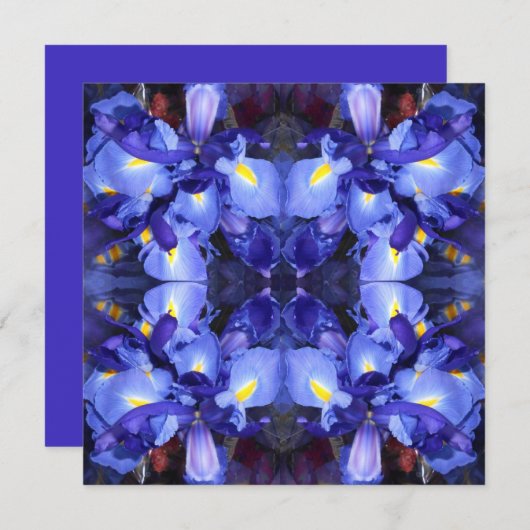 Ermengarde (Front/Back)