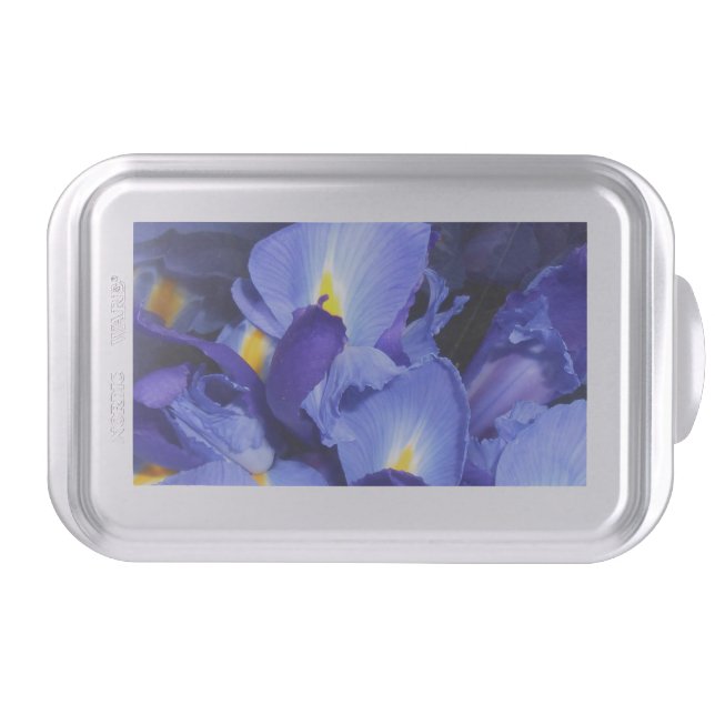 Ermengarde Cake Pan (Front)