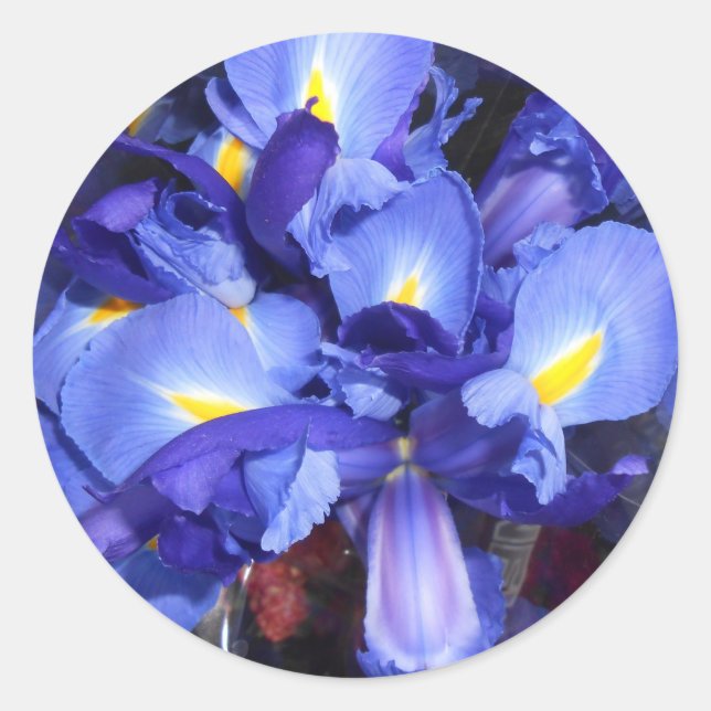 Ermengarde Classic Round Sticker (Front)