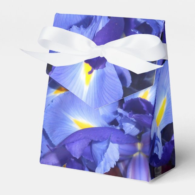 Ermengarde Favor Boxes (Front Side)