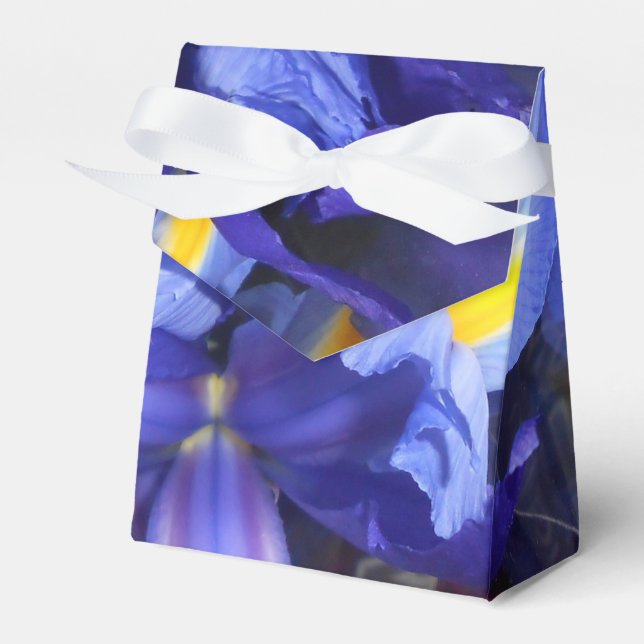 Ermengarde Favor Boxes (Front Side)