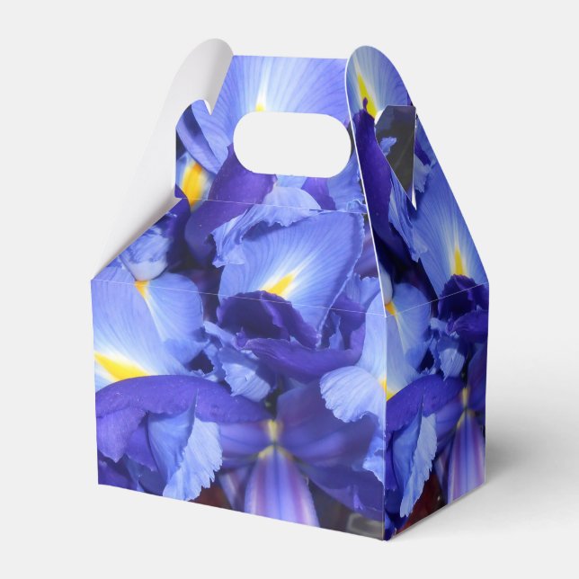 Ermengarde Favor Boxes (Front Side)