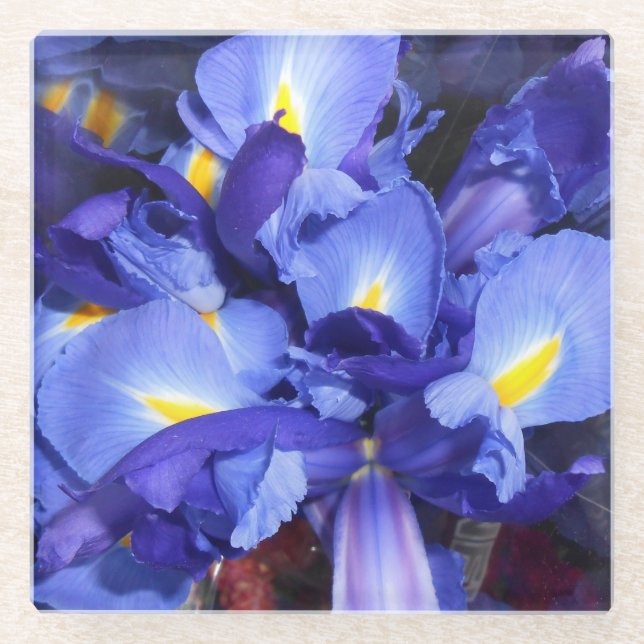 Ermengarde Glass Coaster (Front)