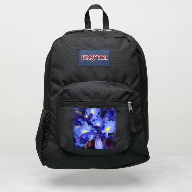 Ermengarde JanSport Backpack (Front)