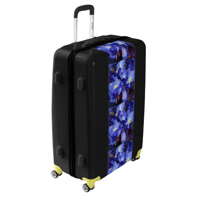 Ermengarde Luggage (Rotated Left)