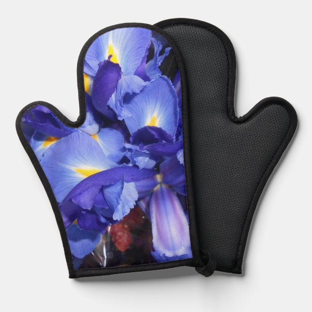 Ermengarde Oven Mitt (Front/Back)