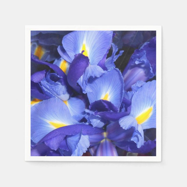 Ermengarde Paper Napkins (Front)