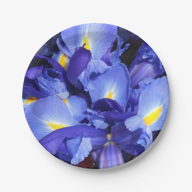 Ermengarde Paper Plates (Front)