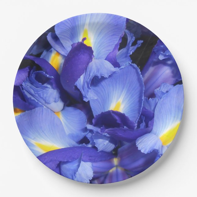 Ermengarde Paper Plates (Front)
