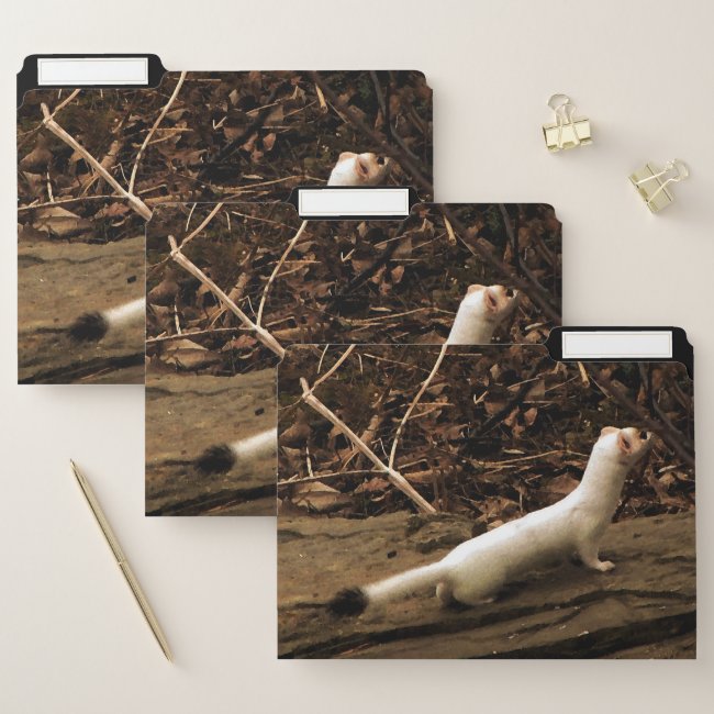 Ermine File Folder Set