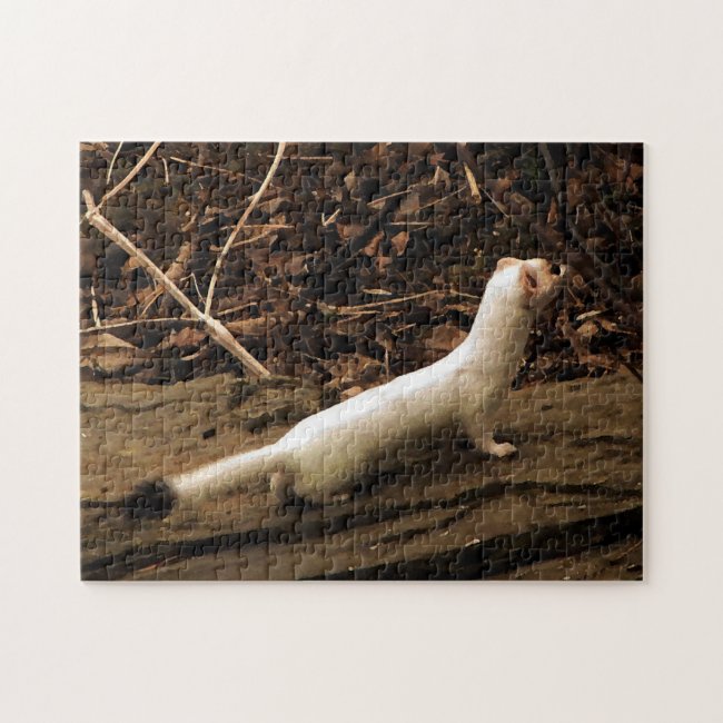 Ermine in His White Winter Coat Jigsaw Puzzle