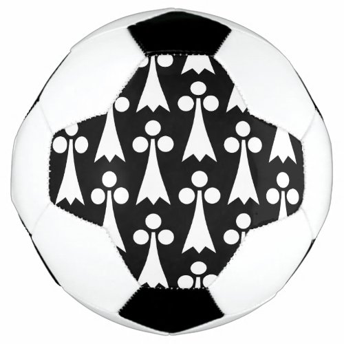 Ermine Pattern Medieval Pattern White on Black Soccer Ball