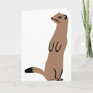 Ermine - Stoat - Weasel Card