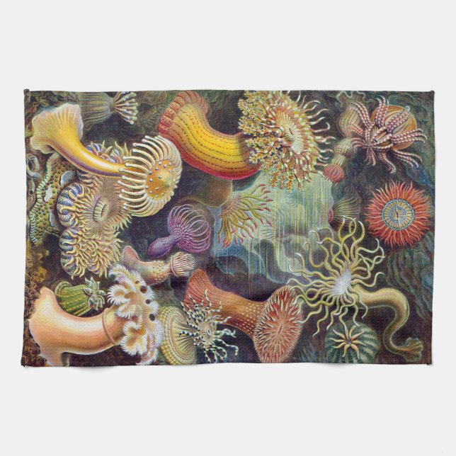 Ernst Haeckel Actiniaea sea anemone Kitchen Towel (Horizontal)
