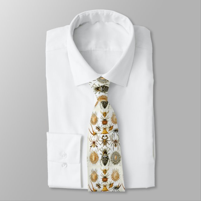 Ernst Haeckel Arachnid Illustration Entomology Neck Tie (Tied)