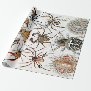 Ernst Haeckel Arachnida Spiders Poster Wrapping Paper