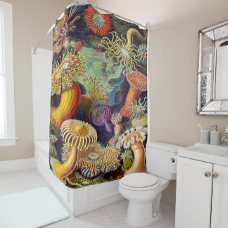 Ernst Haeckel Art Print:Actiniae Shower Curtain