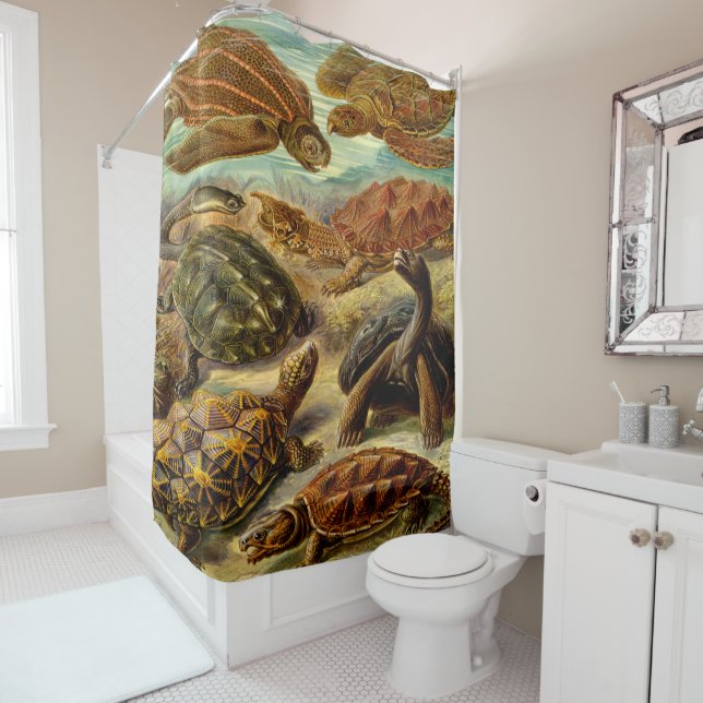 Ernst Haeckel Art Print:Chelonia Shower Curtain (In Situ)