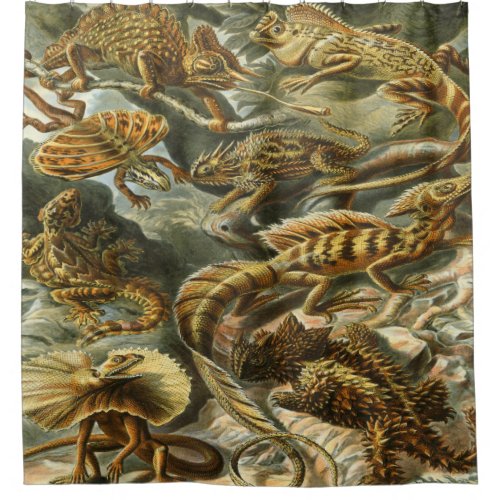 Ernst Haeckel Art PrintLacertilia Shower Curtain