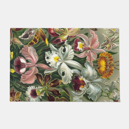 Ernst Haeckel Art PrintOrchidae Oncidiums tulips Doormat