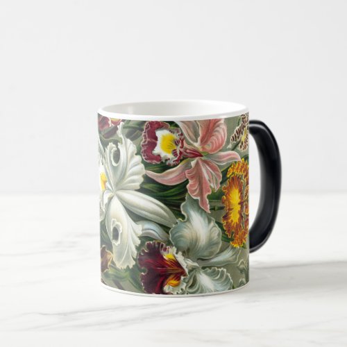 Ernst Haeckel Art PrintOrchidae Oncidiums tulips Magic Mug