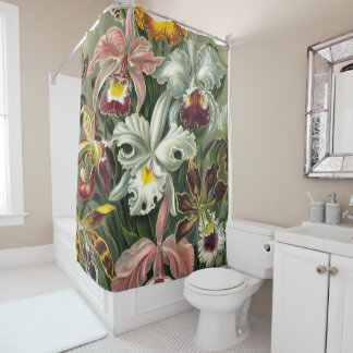 Ernst Haeckel Art Print:Orchidae Oncidiums, tulips Shower Curtain