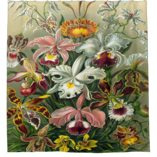 Ernst Haeckel Art Print:Orchidae Oncidiums, tulips Shower Curtain