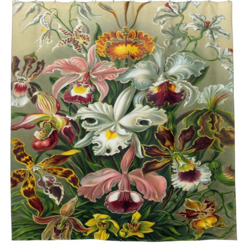 Ernst Haeckel Art PrintOrchidae Oncidiums tulips Shower Curtain