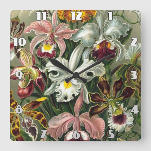 Ernst Haeckel Art PrintOrchidae Oncidiums tulips Square Wall Clock