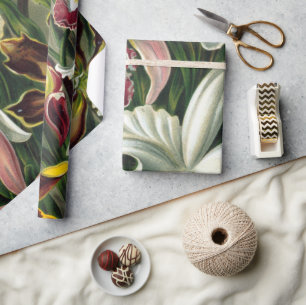 Ernst Haeckel Art Print:Orchidae Oncidiums, tulips Wrapping Paper