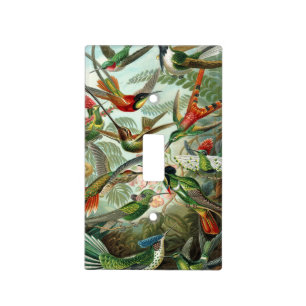 Ernst Haeckel Art Print: Trochilidae Light Switch Cover