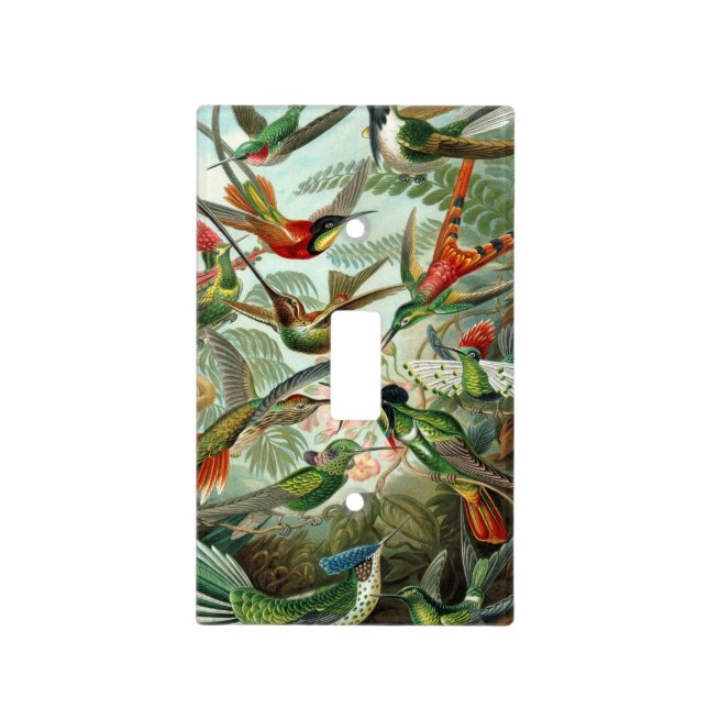 Ernst Haeckel Art Print: Trochilidae Light Switch Cover (Front)