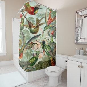 Ernst Haeckel Art Print: Trochilidae Shower Curtain