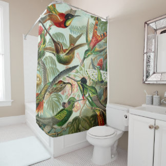 Ernst Haeckel Art Print: Trochilidae Shower Curtain