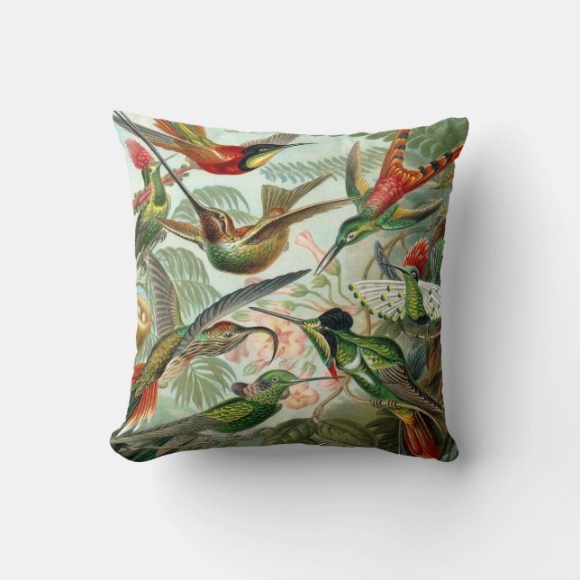 Ernst Haeckel Art Print: Trochilidae Throw Pillow (Front)