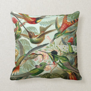Ernst Haeckel Art Print: Trochilidae Throw Pillow