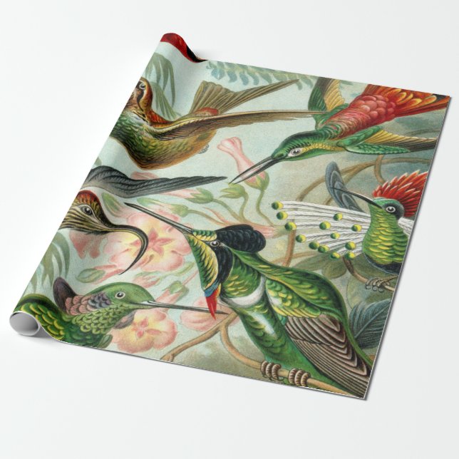 Ernst Haeckel Art Print: Trochilidae Wrapping Paper (Unrolled)