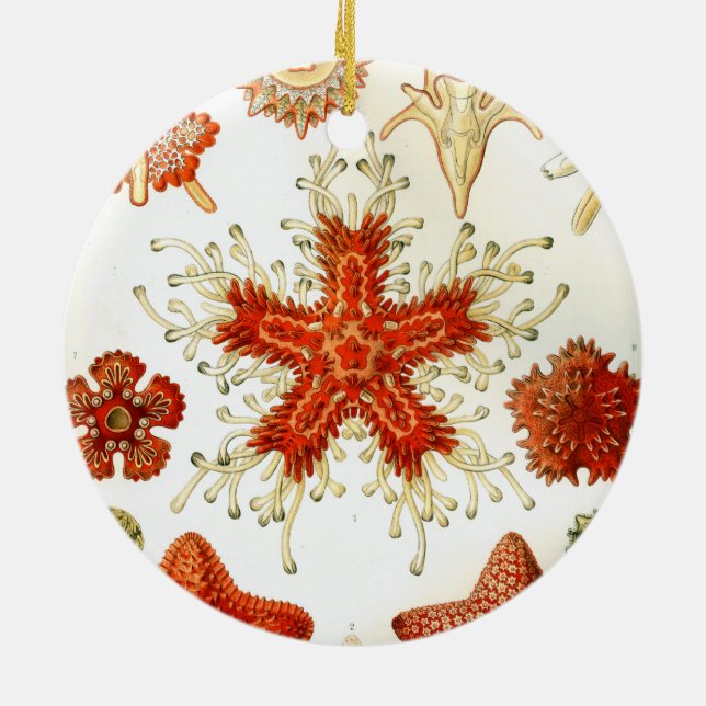 ernst haeckel artwork ceramic ornament (Back)