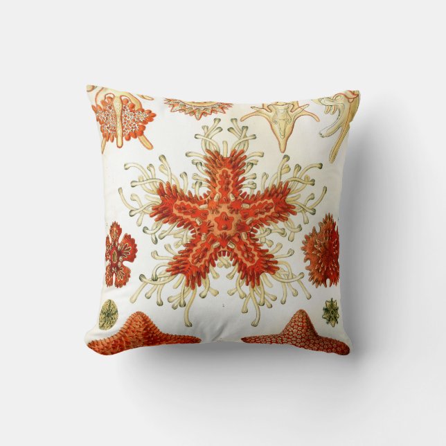 ernst haeckel artwork throw pillow (Front)