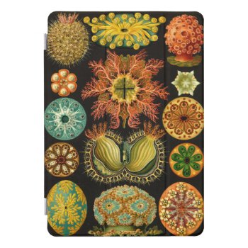 Ernst Haeckel Ascidiae Sea Squirts Illustration Ipad Pro Cover by Angharad13 at Zazzle