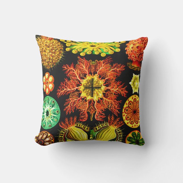 Ernst Haeckel Ascidiae Throw Pillow (Front)
