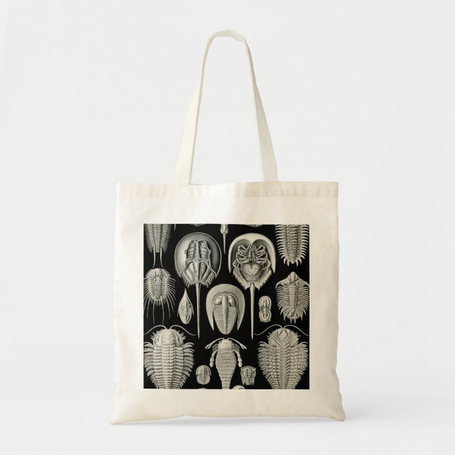 Ernst Haeckel Aspidonia Tote Bag (Front)