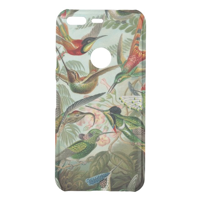 Ernst Haeckel Birds Uncommon Google Pixel Case (Back)