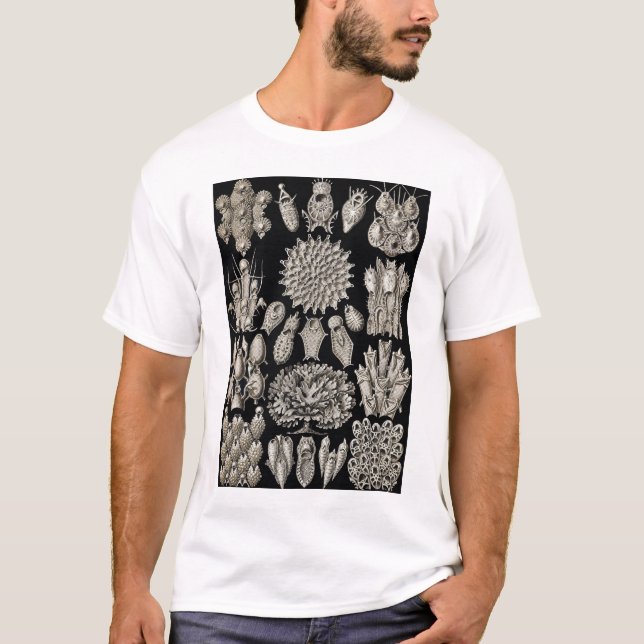 Ernst Haeckel - Bryozoa2 Tshirt (Front)