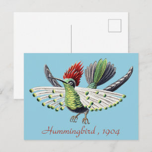 Ernst Haeckel Colorful Hummingbird Nature Art Postcard