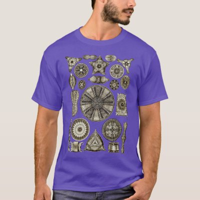 Ernst Haeckel Diatoms Vintage Brown T-Shirt