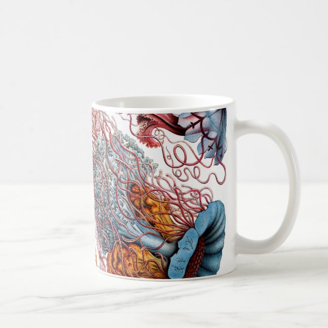 Ernst Haeckel Discomedusae Jellyfish Coffee Mug (Right)