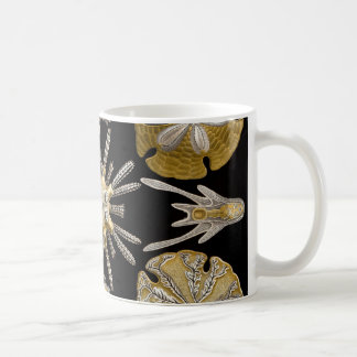 Ernst Haeckel Echinidea Sea Urchins Coffee Mug