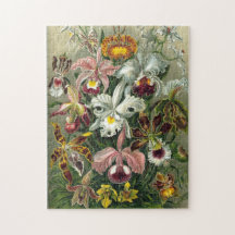 Ernst Haeckel Flowers Puzzle