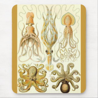 Ernst Haeckel - Gamochonia Mouse Pad